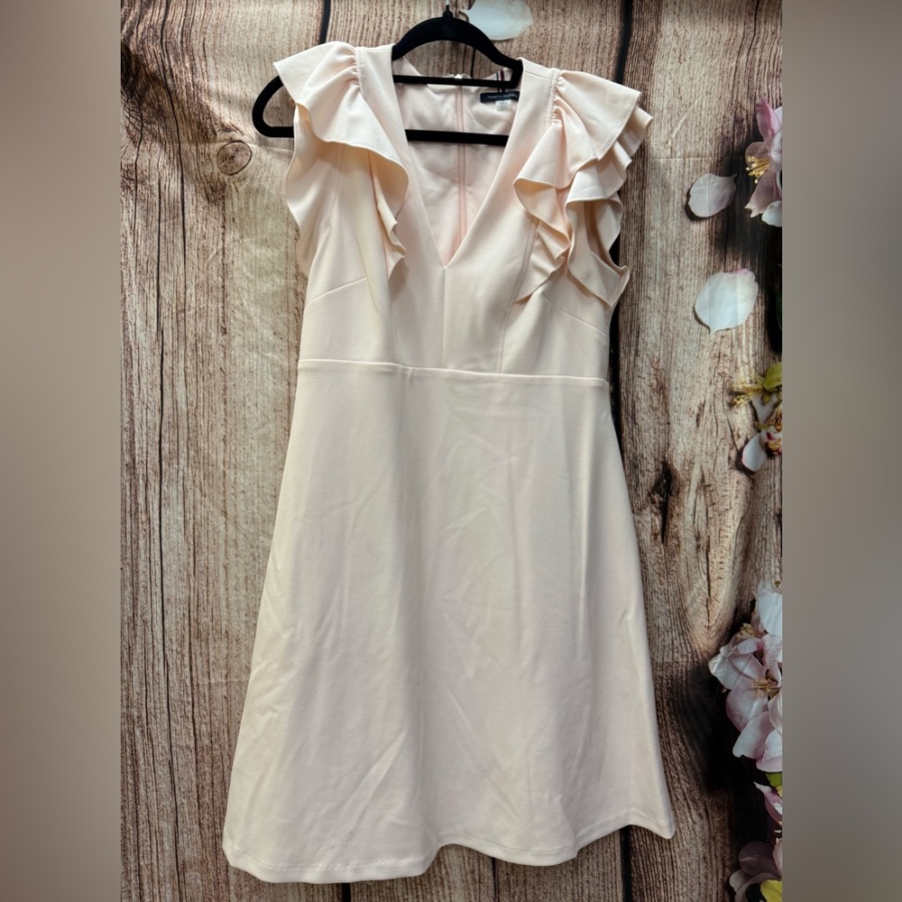 Elegant Light Pink Ruffle Dress